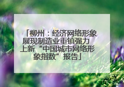 柳州：经济网络形象展现制造业重镇强力 上新“中国城市网络形象指数”报告