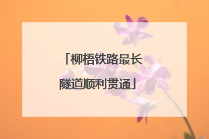 柳梧铁路最长隧道顺利贯通