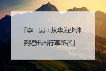李一男：从华为少帅到锂电出行革新者