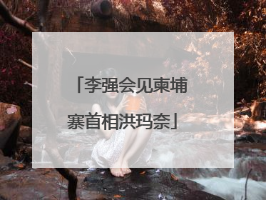 李强会见柬埔寨首相洪玛奈
