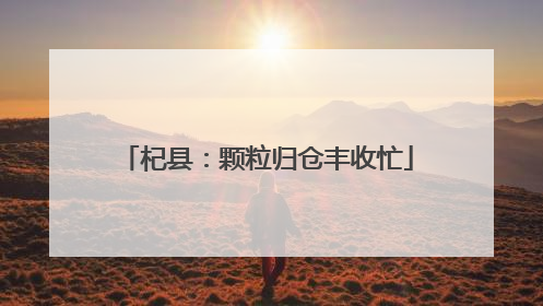 杞县：颗粒归仓丰收忙