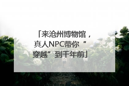 来沧州博物馆，真人NPC带你“穿越”到千年前