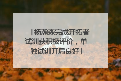 杨瀚森完成开拓者试训获积极评价，单独试训开局良好