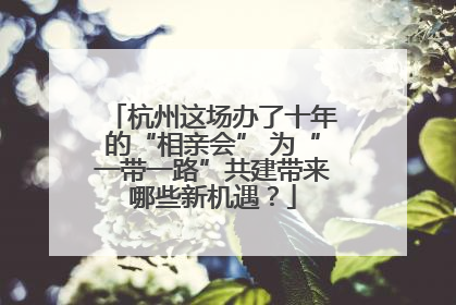 杭州这场办了十年的“相亲会” 为“一带一路”共建带来哪些新机遇？