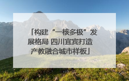 构建“一核多极”发展格局 四川宜宾打造产教融合城市样板