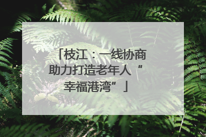 枝江：一线协商助力打造老年人“幸福港湾”