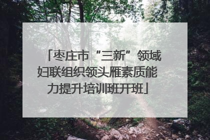 枣庄市“三新”领域妇联组织领头雁素质能力提升培训班开班