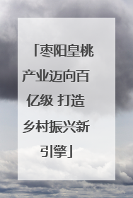 枣阳皇桃产业迈向百亿级 打造乡村振兴新引擎