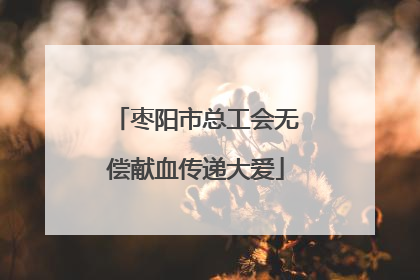 枣阳市总工会无偿献血传递大爱