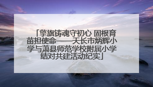 擎旗铸魂守初心 固根育苗担使命——天长市炳辉小学与萧县师范学校附属小学结对共建活动纪实