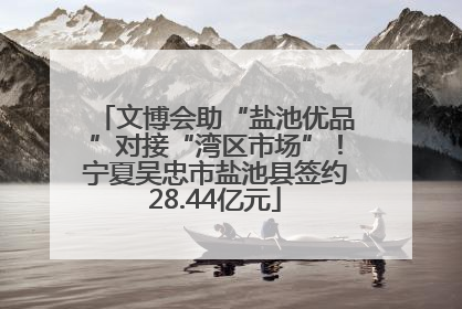 文博会助“盐池优品”对接“湾区市场”!宁夏吴忠市盐池县签约28.44亿元