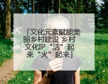 文化元素赋能美丽乡村建设 乡村文化IP“活”起来“火”起来