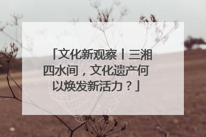 文化新观察丨三湘四水间，文化遗产何以焕发新活力？