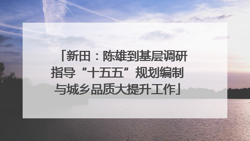 新田：陈雄到基层调研指导“十五五”规划编制与城乡品质大提升工作