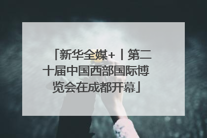 新华全媒+丨第二十届中国西部国际博览会在成都开幕