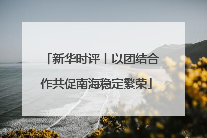 新华时评丨以团结合作共促南海稳定繁荣