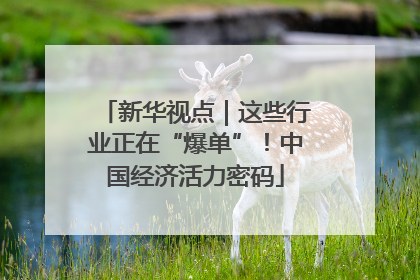 新华视点｜这些行业正在“爆单”！中国经济活力密码
