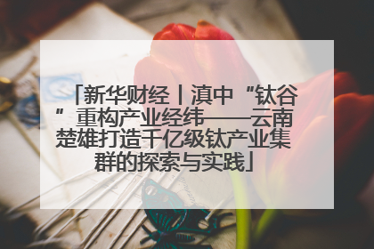 新华财经丨滇中“钛谷”重构产业经纬——云南楚雄打造千亿级钛产业集群的探索与实践
