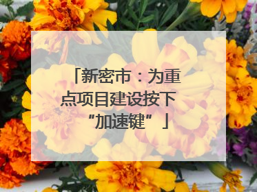 新密市：为重点项目建设按下“加速键”