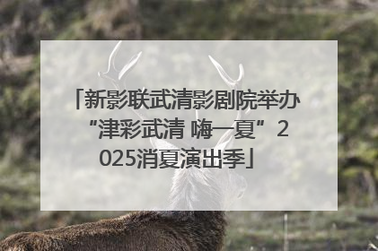 新影联武清影剧院举办“津彩武清 嗨一夏”2025消夏演出季