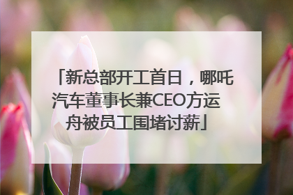 新总部开工首日，哪吒汽车董事长兼CEO方运舟被员工围堵讨薪