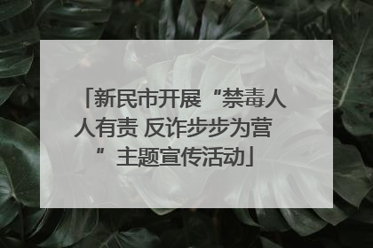 新民市开展“禁毒人人有责 反诈步步为营”主题宣传活动