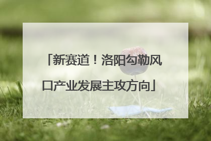 新赛道！洛阳勾勒风口产业发展主攻方向