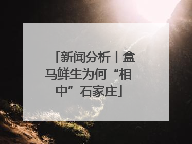 新闻分析丨盒马鲜生为何“相中”石家庄
