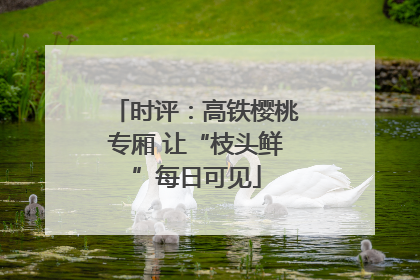 时评：高铁樱桃专厢 让“枝头鲜”每日可见
