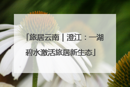 旅居云南｜澄江：一湖碧水激活旅居新生态
