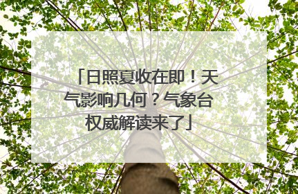 日照夏收在即！天气影响几何？气象台权威解读来了