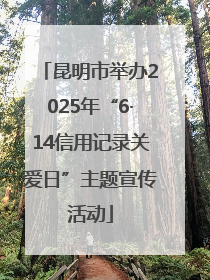 昆明市举办2025年“6·14信用记录关爱日”主题宣传活动