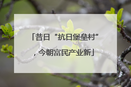 昔日“抗日堡垒村”，今朝富民产业新