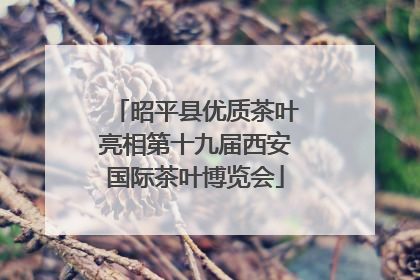 昭平县优质茶叶亮相第十九届西安国际茶叶博览会