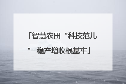 智慧农田“科技范儿” 稳产增收根基牢