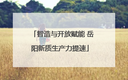 智造与开放赋能 岳阳新质生产力提速