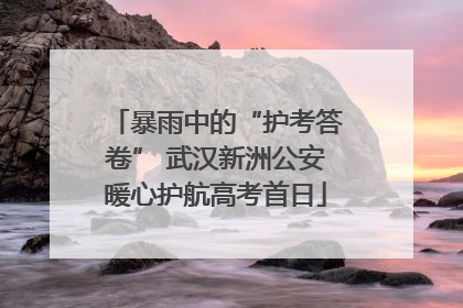 暴雨中的“护考答卷” 武汉新洲公安暖心护航高考首日