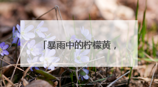 暴雨中的柠檬黄，湖北应城交警全力疏堵保畅护平安