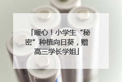 暖心！小学生“秘密”种植向日葵，赠高三学长学姐