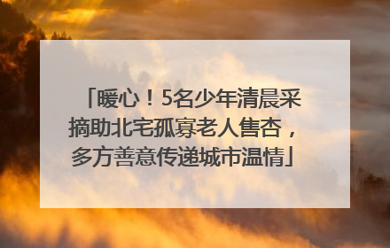 暖心！5名少年清晨采摘助北宅孤寡老人售杏，多方善意传递城市温情