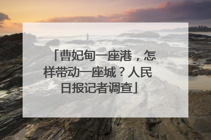 曹妃甸一座港，怎样带动一座城？人民日报记者调查