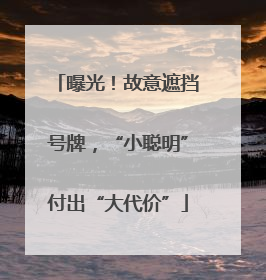 曝光！故意遮挡号牌，“小聪明”付出“大代价”