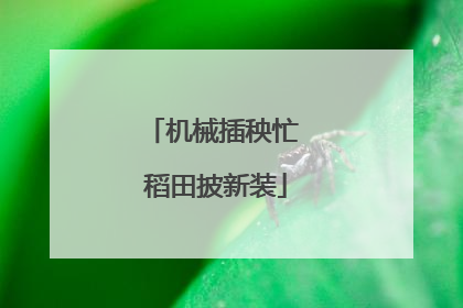 机械插秧忙 稻田披新装