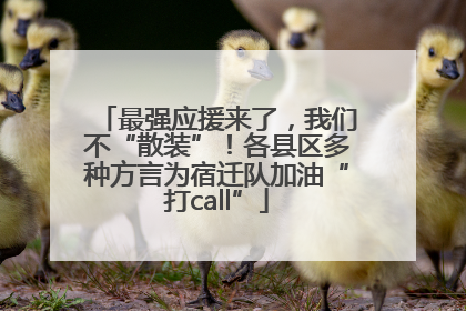 最强应援来了，我们不“散装”！各县区多种方言为宿迁队加油“打call”
