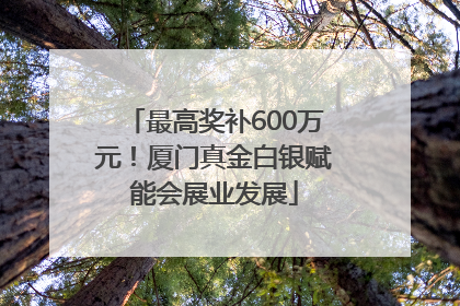 最高奖补600万元！厦门真金白银赋能会展业发展
