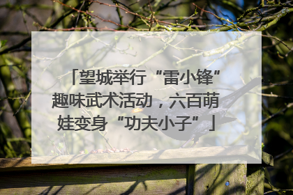 望城举行“雷小锋”趣味武术活动，六百萌娃变身“功夫小子”