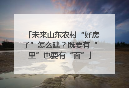 未来山东农村“好房子”怎么建？既要有“里”也要有“面”