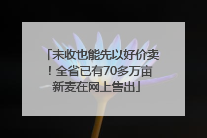未收也能先以好价卖！全省已有70多万亩新麦在网上售出
