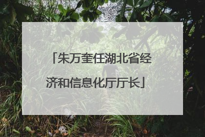 朱万奎任湖北省经济和信息化厅厅长