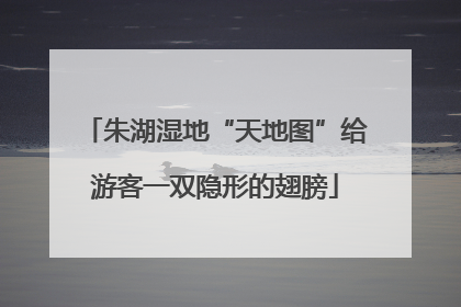 朱湖湿地“天地图”给游客一双隐形的翅膀